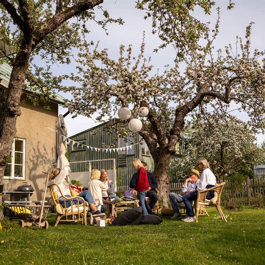 Family having a picnic out in the garden