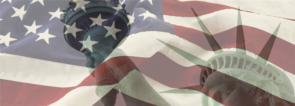 US flag with Statue of Liberty in background