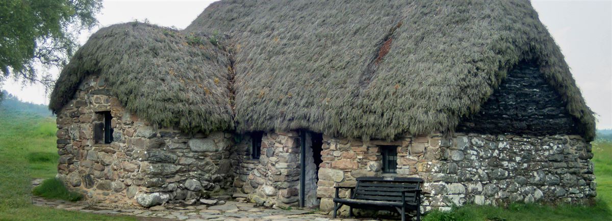 Thatched roof home