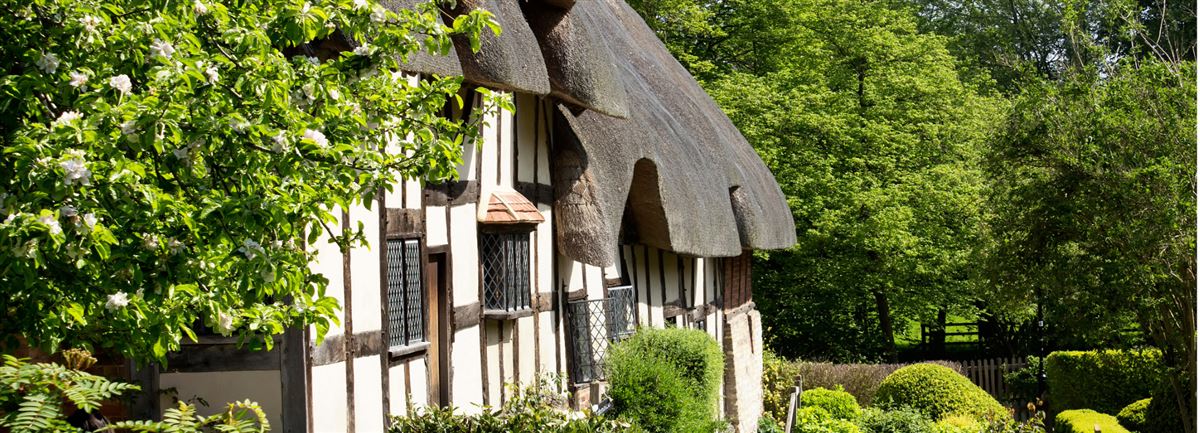 Property with thatched roof
