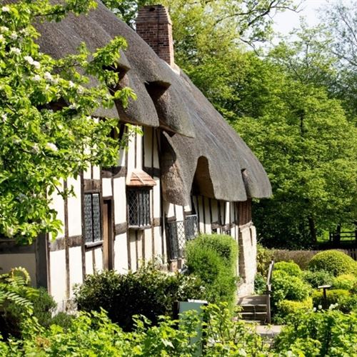 Cottages with thatched roofs