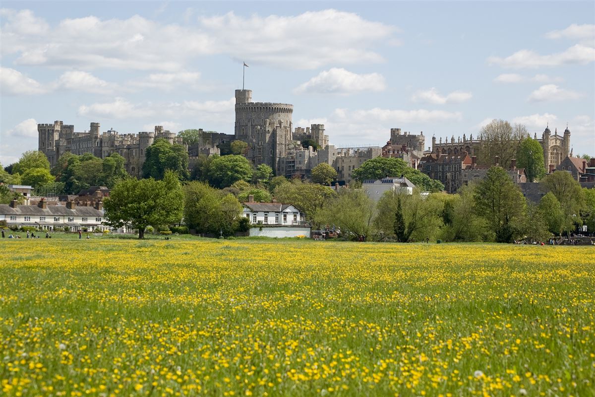 Windsor Castle